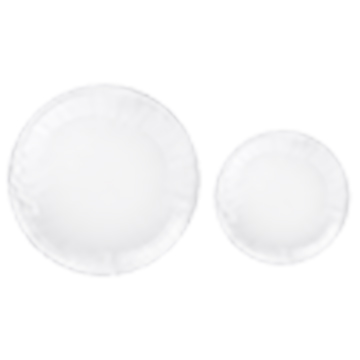 Disposable Plastic Plates Perfect for Party and Wedding